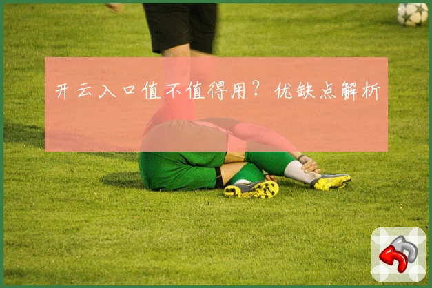 开云入口值不值得用？优缺点解析
