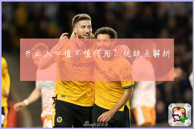 开云入口值不值得用？优缺点解析