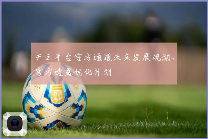 开云平台官方通道未来发展规划，官方透露优化计划