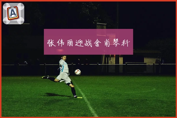 张伟丽迎战舍甫琴科